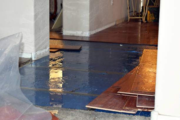 Professional Water Removal technician working in Julian, WV